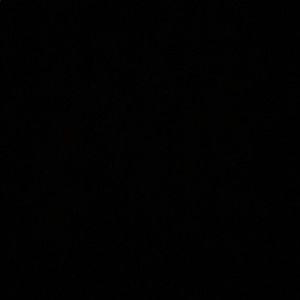 Meet your Posher, Jada